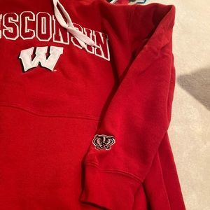 champion wisconsin sweatshirt